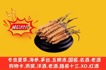 白朗县求购回收虫草多少钱每克